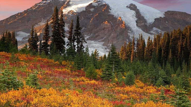1. TAPETY NA PULPIT  176 - mountains_trees_fur-trees_autumn_colors_green_yellow_snow_top_5714_1920x1080.jpg